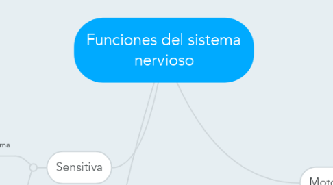 Mind Map: Funciones del sistema nervioso