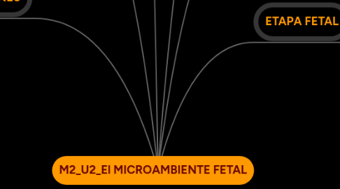 Mind Map: M2_U2_El MICROAMBIENTE FETAL