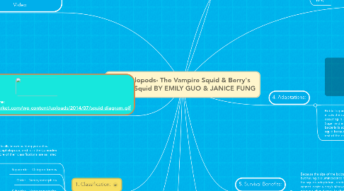 Mind Map: Cephalopods- The Vampire Squid & Berry's Bobtail Squid BY EMILY GUO & JANICE FUNG
