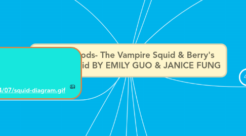 Mind Map: Cephalopods- The Vampire Squid & Berry's Bobtail Squid BY EMILY GUO & JANICE FUNG