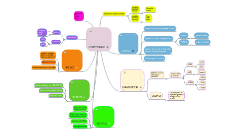 Mind Map: VERTEBRATI