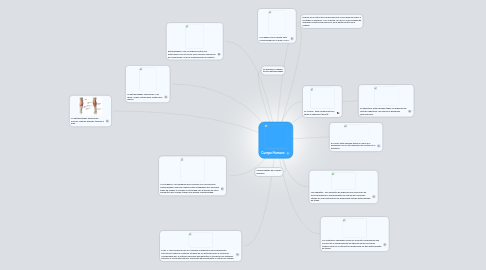 Mind Map: Cuerpo Humano