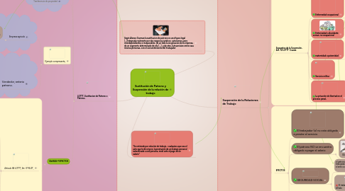 Mind Map: Sustitución de Patrono y Suspensión de la relación de trabajo