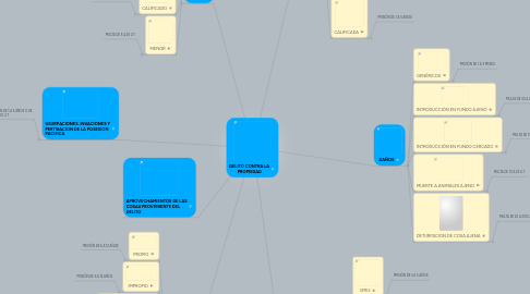 Mind Map: DELITO CONTRA LA PROPIEDAD