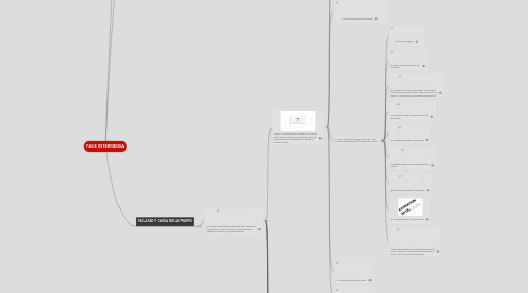 Mind Map: FASE INTERMEDIA