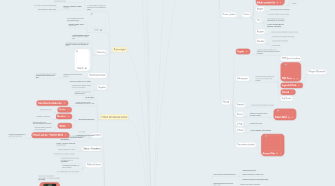 Mind Map: Música y Sociedad 1er parcial