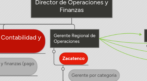 Mind Map: Director de Operaciones y Finanzas