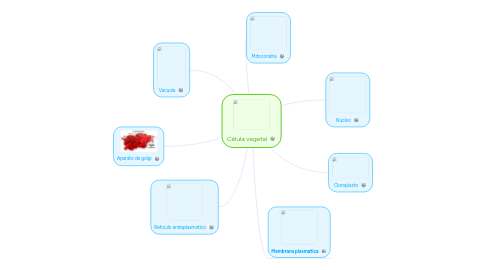 Mind Map: Célula vegetal