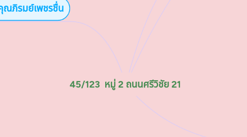 Mind Map: 45/123 หมู่ 2 ถนนศรีวิชัย 21
