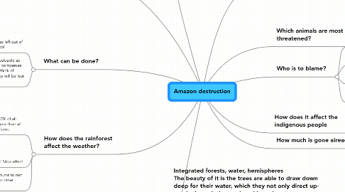 Mind Map: Amazon destruction