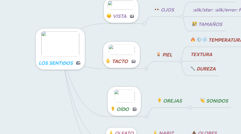 Mind Map: LOS SENTIDOS