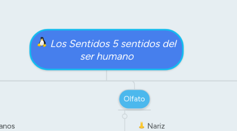 Mind Map: Los Sentidos 5 sentidos del ser humano