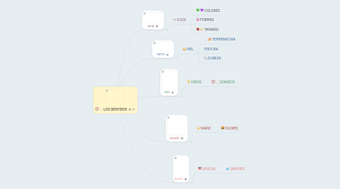 Mind Map: LOS SENTIDOS