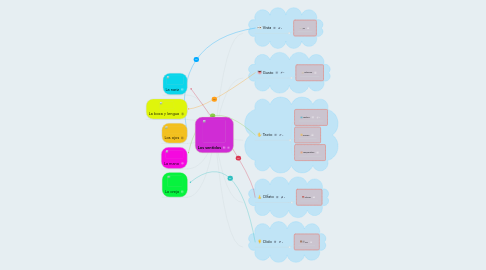 Mind Map: Los sentidos