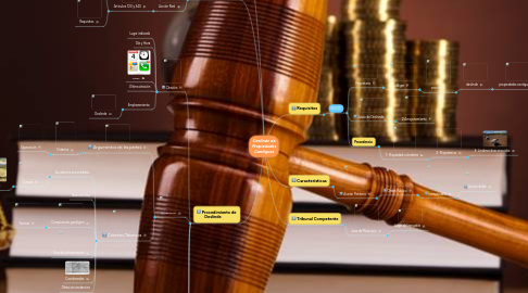 Mind Map: Deslinde de Propiedades Contiguas