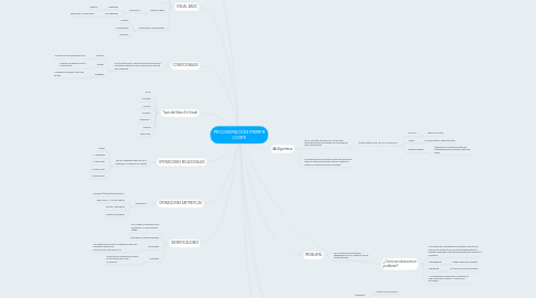 Mind Map: PROGRAMACIÓN PRIMER CORTE