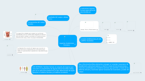 Mind Map: Aspectos Anatómicos Humanos