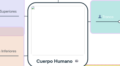 Mind Map: Cuerpo Humano