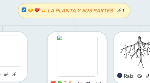 Mind Map: LA PLANTA Y SUS PARTES
