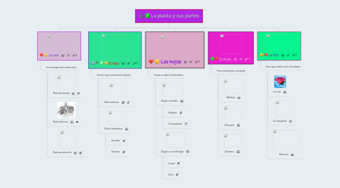 Mind Map: La planta y sus partes