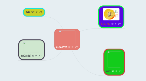 Mind Map: LA PLANTA