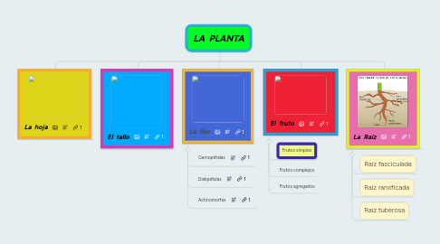 Mind Map: LA  PLANTA