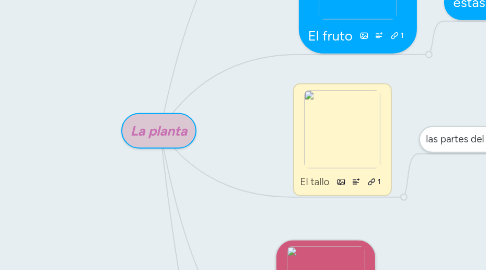 Mind Map: La planta