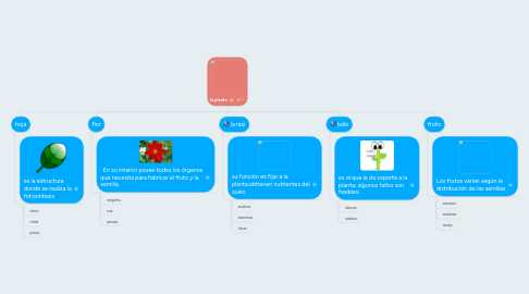 Mind Map: la planta