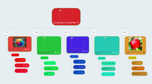 Mind Map: La planta y sus partes