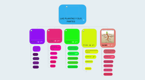 Mind Map: LAS PLANTAS Y SUS PARTES