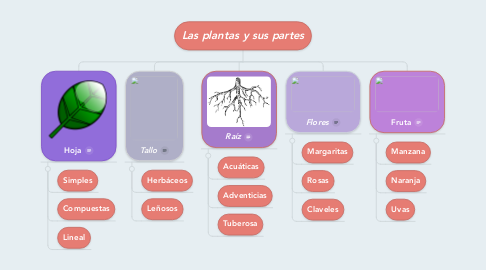 Mind Map: Las plantas y sus partes