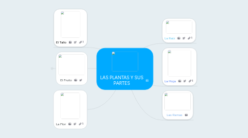 Mind Map: LAS PLANTAS Y SUS PARTES