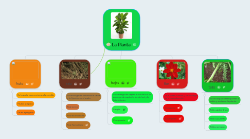 Mind Map: La Planta