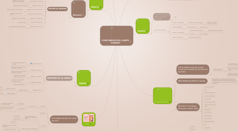 Mind Map: COMPONENTES DEL CUERPO HUMANO