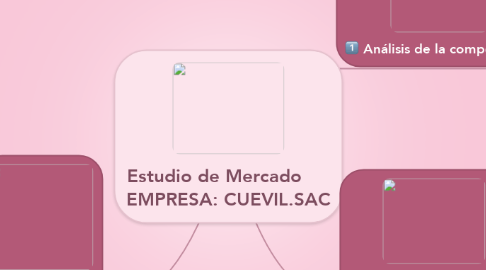 Mind Map: Estudio de Mercado      EMPRESA: CUEVIL.SAC