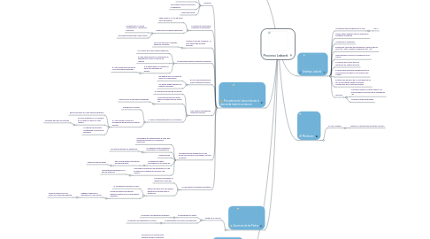 Mind Map: Proceso Laboral