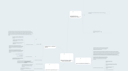 Mind Map: DERECHO PROCESAL LABORAL Y PRACTICAS ESPECIALES