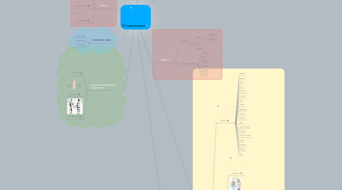 Mind Map: El Cuerpo humano