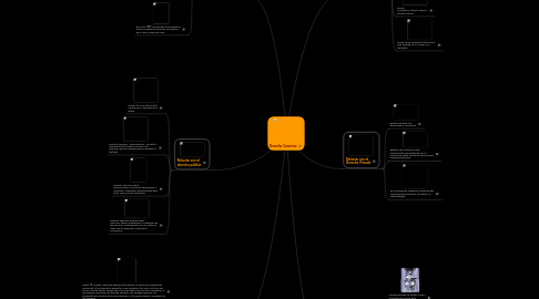 Mind Map: Derecho Canonico