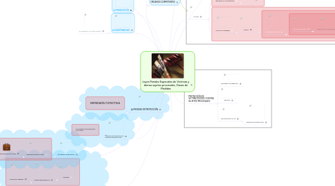 Mind Map: Leyes Penales Especiales de Victimas y demas sujetos procesales, Clases de Medidas