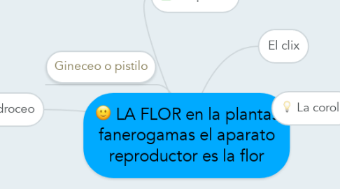 Mind Map: LA FLOR en la plantas fanerogamas el aparato reproductor es la flor