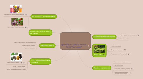 Mind Map: Урок биологии в 5 классе. Тема "Растения"