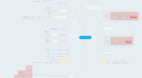 Mind Map: Human reproduction