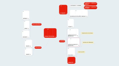 Mind Map: SISTEMA CIRCULATORIO