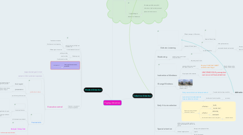 Mind Map: Paying Attention