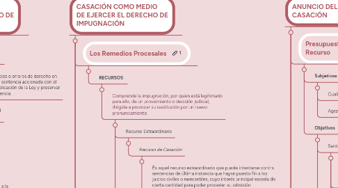 Mind Map: RECURSO DE CASACIÓN