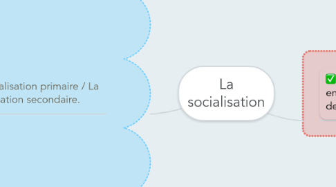 Mind Map: La socialisation