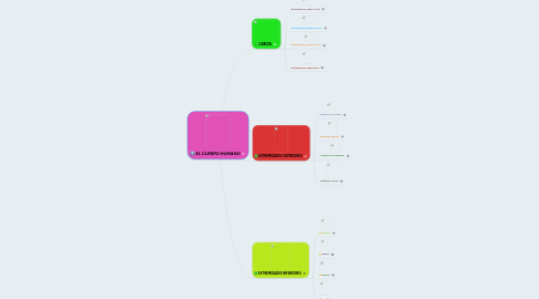 Mind Map: EL CUERPO HUMANO