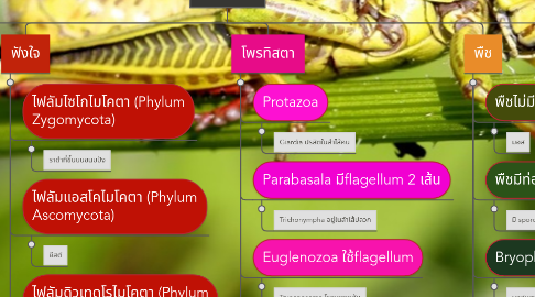 Mind Map: อาณาจักร