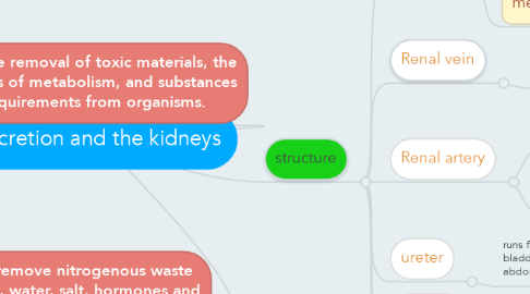 Mind Map: excretion and the kidneys